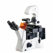 Inverted Binocular Fluorescence Microscope